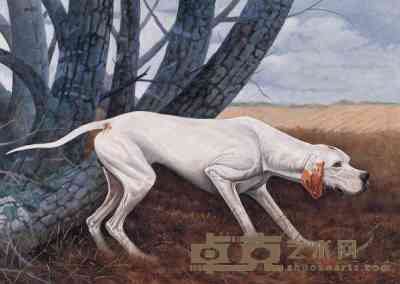 Jhonny Gutierrez 1996年作 西班牙猎犬 100×140cm
